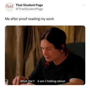 student-page-student-page-thatstudentpage-after-proof-reading-my-work-fk-am-talking-about.webp