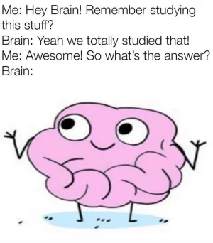 hey-brain-remember-studying-this-stuff-brain-yeah-totally-studied-awesome-so-s-answer-brain.webp