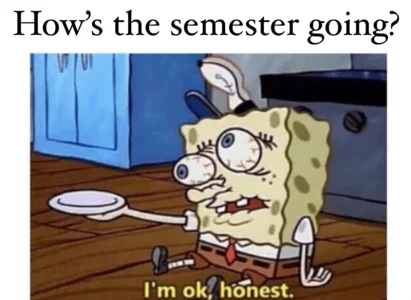 s-semester-going-o-ok-honest.webp