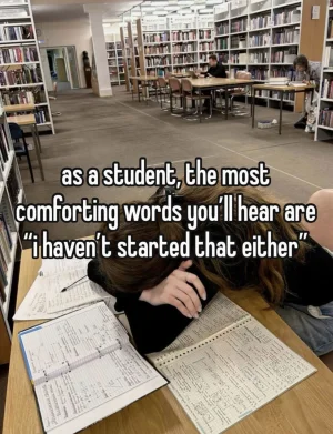 iScreen Shoter - Google Chrome - 251017130946.webp